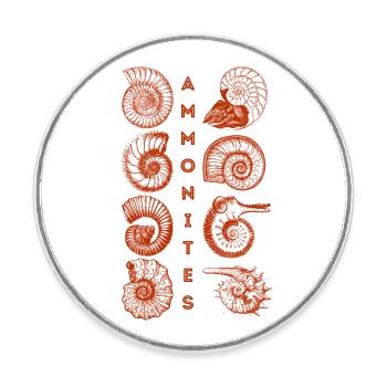 AMMONITEN - Fossil - Paläontologie - Student - Runder Kühlschrankmagnet - Weiß - Vorne