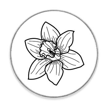 Fleur de jonquille - Magnet rond - blanc - Devant