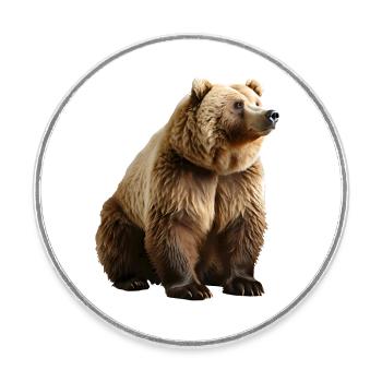 Les ours bruns sont omnivores - Magnet rond - blanc - Devant
