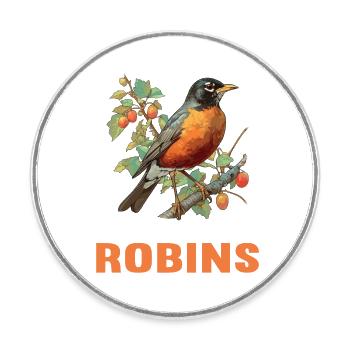 Robin Rotkehlchen - Runder Kühlschrankmagnet - Weiß - Vorne