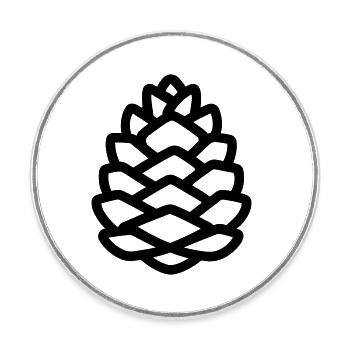 Pine Cone - Round  fridge magnet - white - Front