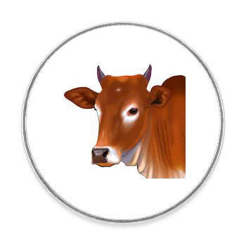 Brown Swiss - Round  fridge magnet - white - Front