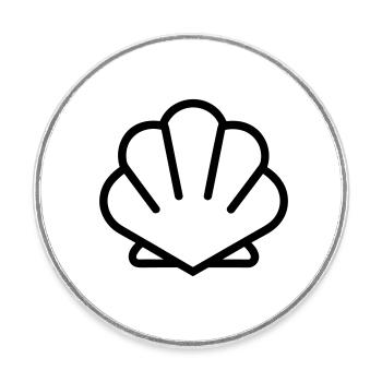 Shell - Round  fridge magnet - white - Front