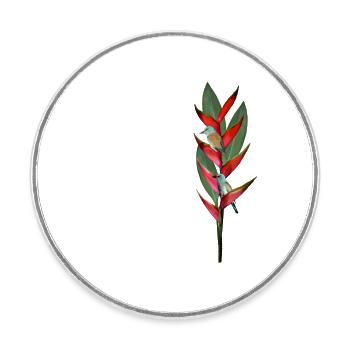 Helconia Blauracke - tropische Blume und Vögel - Runder Kühlschrankmagnet - Weiß - Vorne
