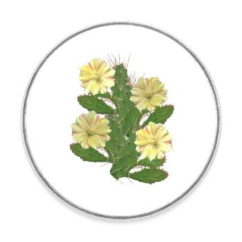 Cactus - Fleurs de cactus - Flore - Afrique - Magnet rond - blanc - Devant