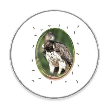 Aigle martial - Aigle - Oiseau de proie - Oiseaux en Afrique - Magnet rond - blanc - Devant