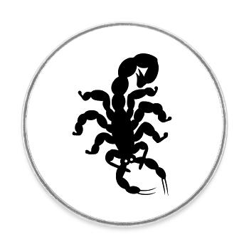 scorpion - Magnet rond - blanc - Devant