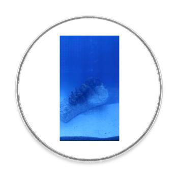 Lake Roller - Round  fridge magnet - white - Front