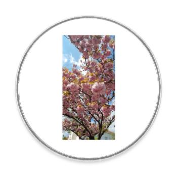 Sakura Flowers - Round  fridge magnet - white - Front