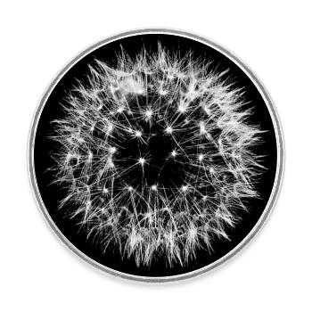 Dandelion ball dandelion black white round circle - Round  fridge magnet - white - Front
