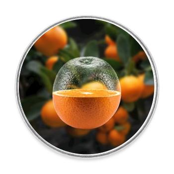 Juicy Orange - Runder Kühlschrankmagnet - Weiß - Vorne