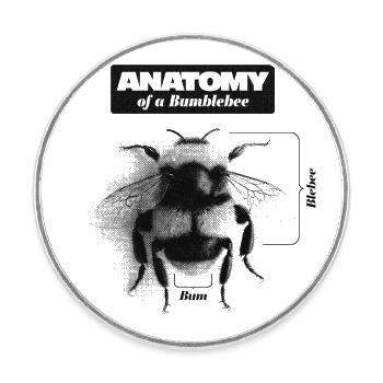 Anatomy of a Bumblebee - witziges Wortspiel - Runder Kühlschrankmagnet - Weiß - Vorne