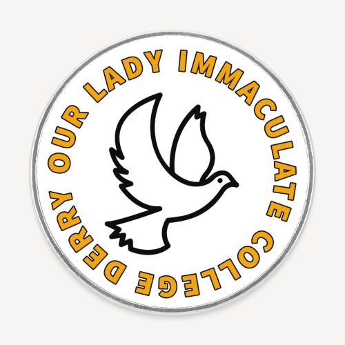 OUR LADY MARY IMMACULATE COLLEGE DERRY - Round  fridge magnet