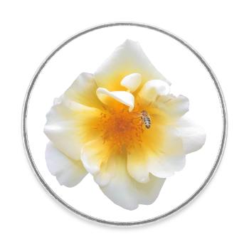 Bee Blossom Rose - Travail d’équipe - Jardin - Rose Blossom - Magnet rond - blanc - Devant