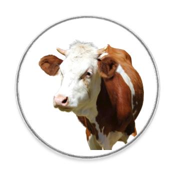 funny cow cow head - Round  fridge magnet - white - Front