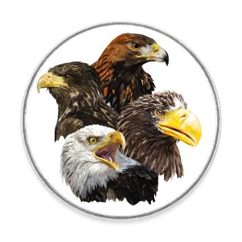 Pigargos and Eagle - Round  fridge magnet - white - Front