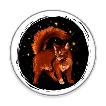 Squirrelflight Eichhornschweif rote Katze Sterne - Runder Kühlschrankmagnet - Weiß - Vorne
