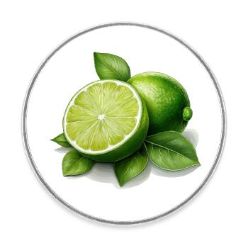 Limette - Runder Kühlschrankmagnet - Weiß - Vorne