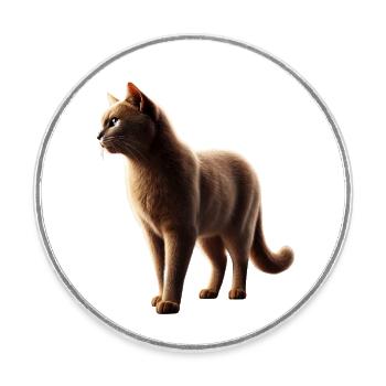 Katze Realistisch - Runder Kühlschrankmagnet - Weiß - Vorne