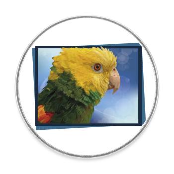 The yellow-headed parrot - Round  fridge magnet - white - Front