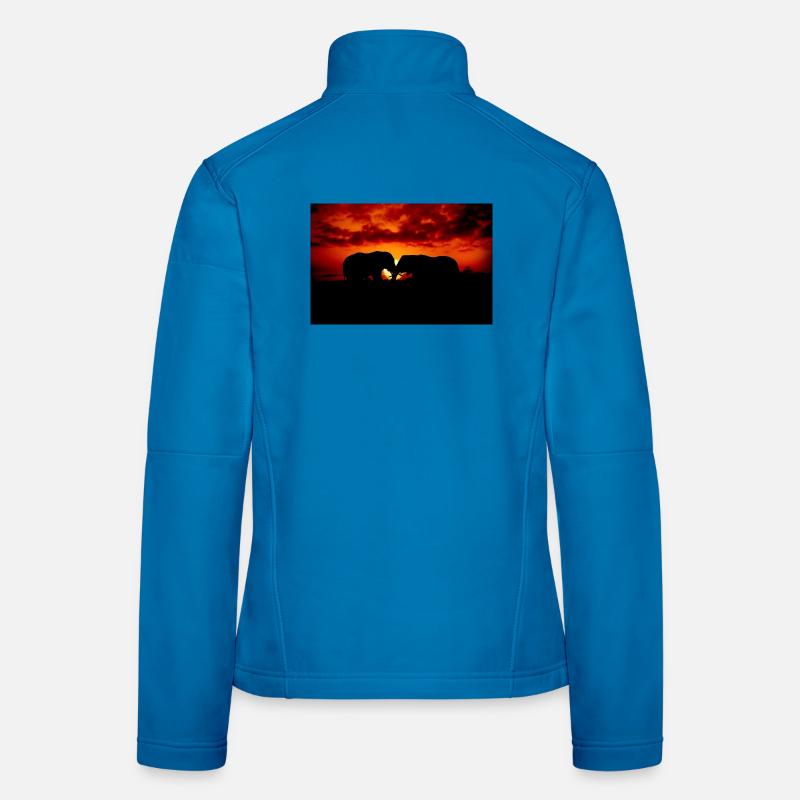 Women's Softshell Jacket