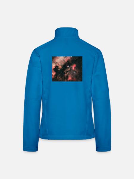 IC 5070 Pelikannebel - Frauen Softshelljacke - Lichtblau