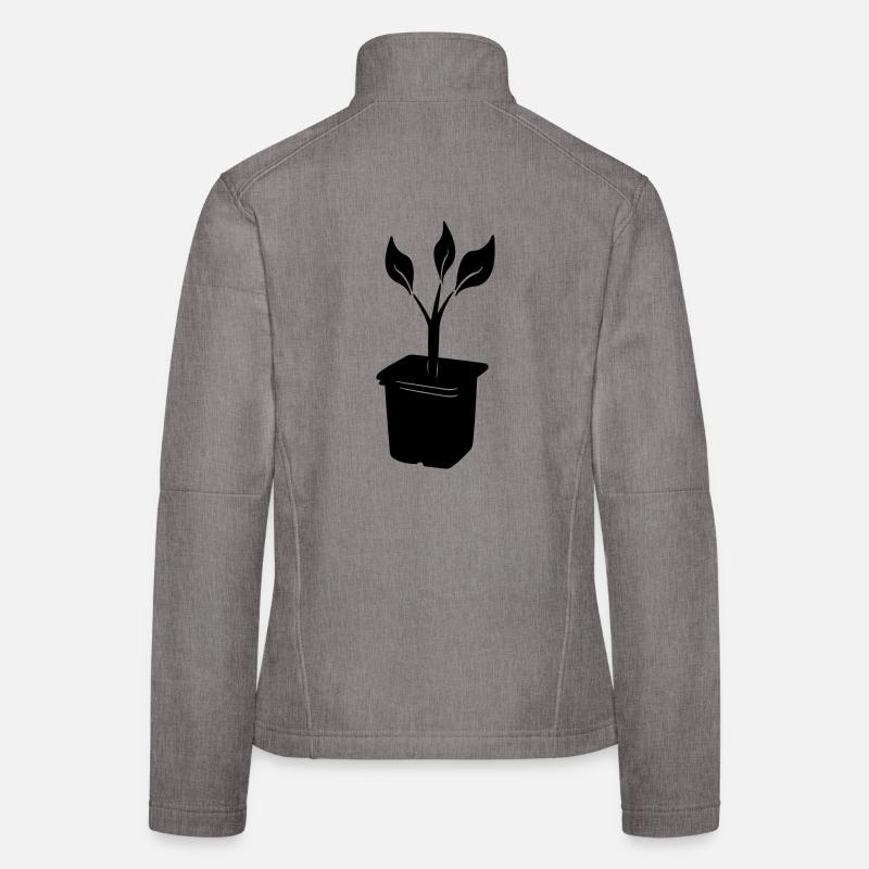 Women's Softshell Jacket