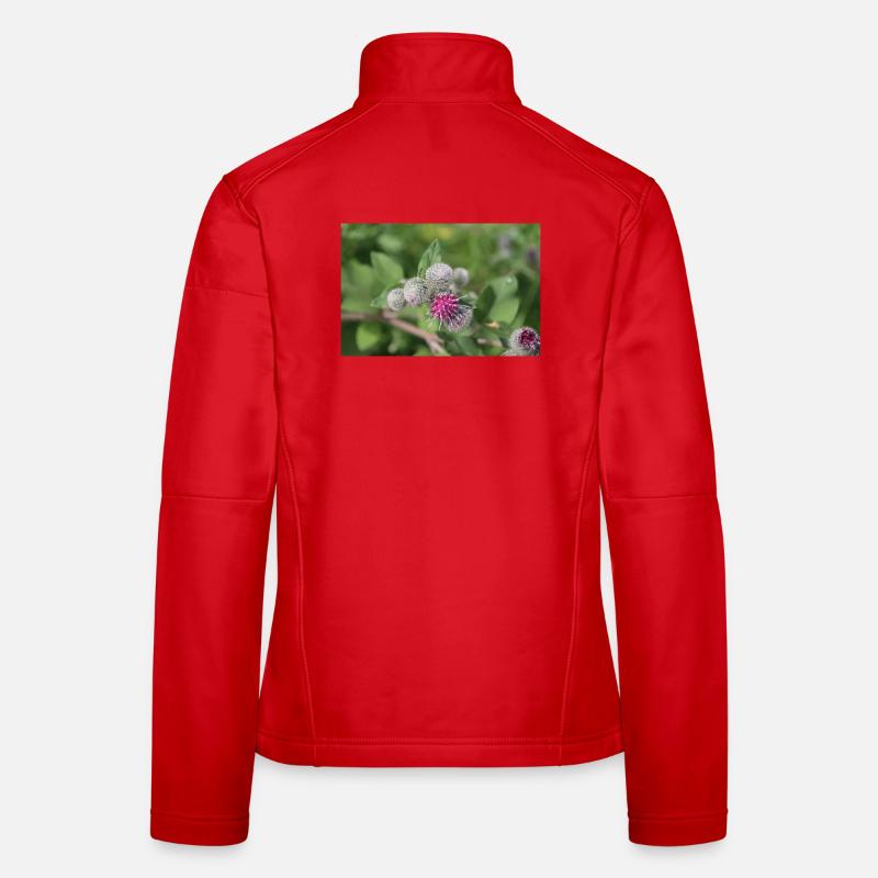 Burdock Women's Softshell Jacket