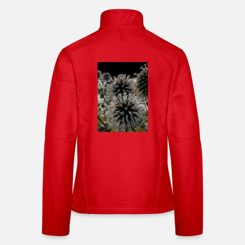 Women's Softshell Jacket