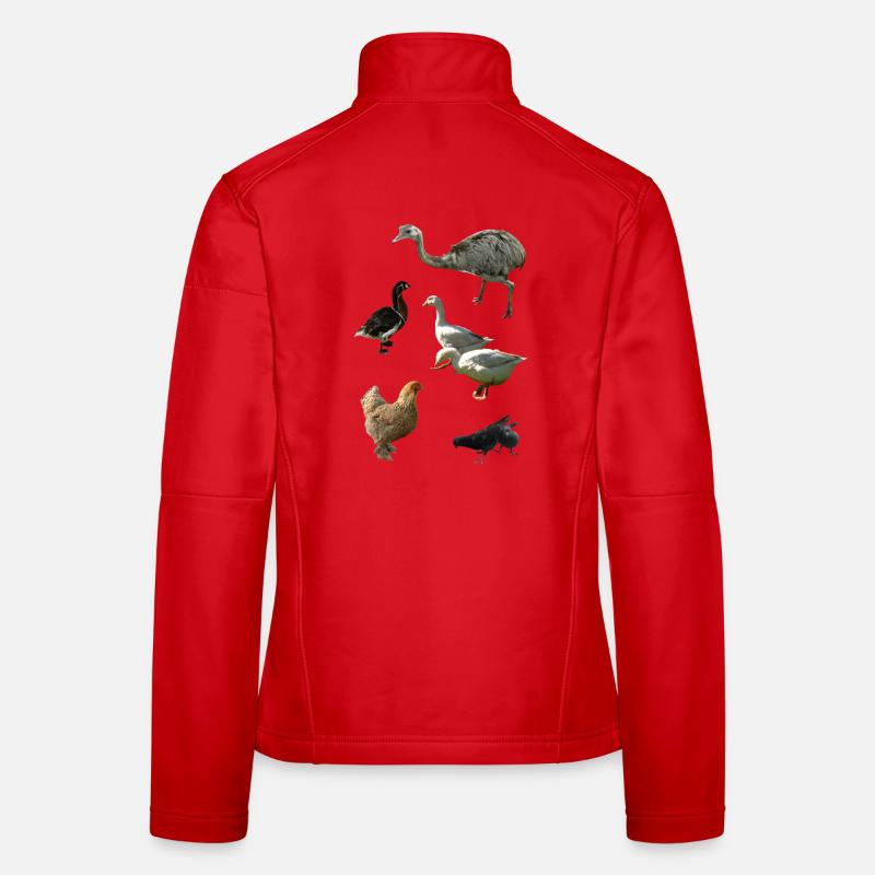 Women's Softshell Jacket