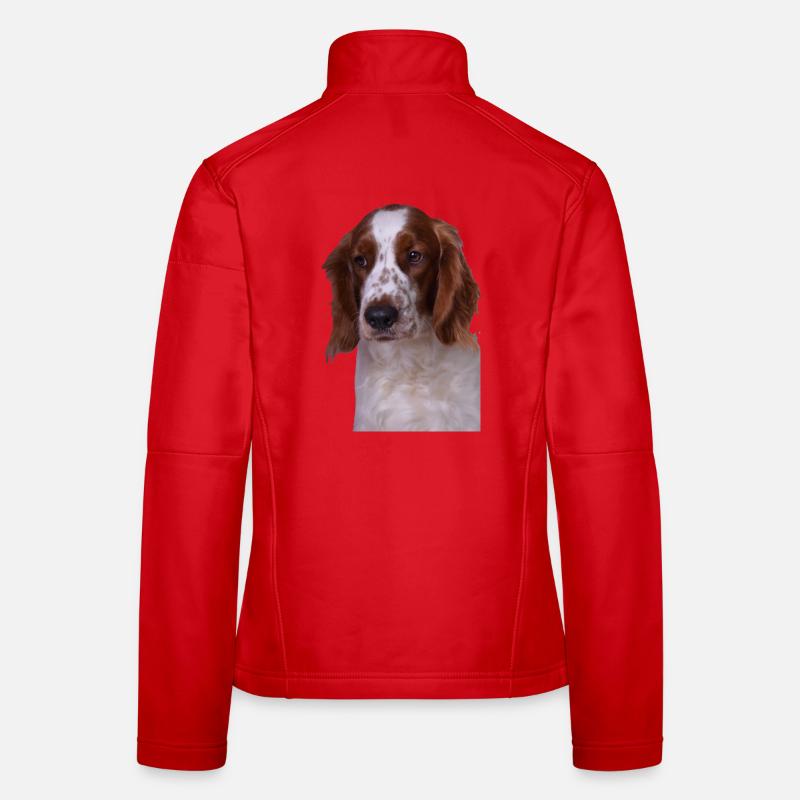Welsh Springer Spaniel Frauen Softshelljacke