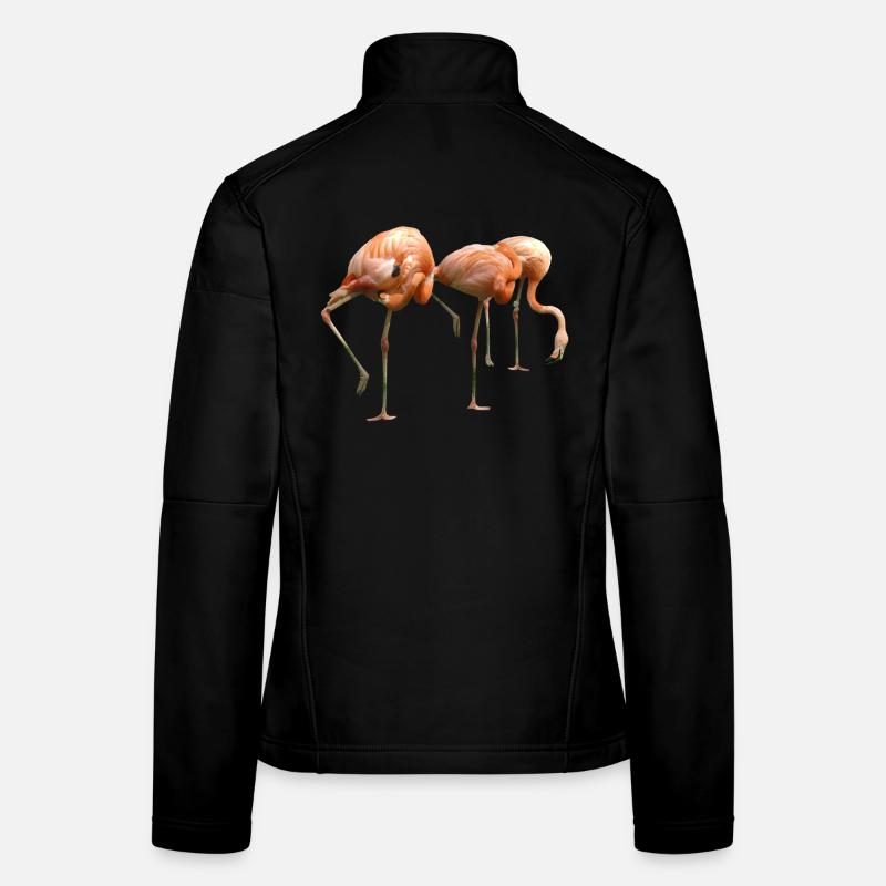 Women's Softshell Jacket