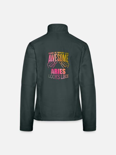 Aries Aries Aries - Women's Softshell Jacket - mouse grey - Back