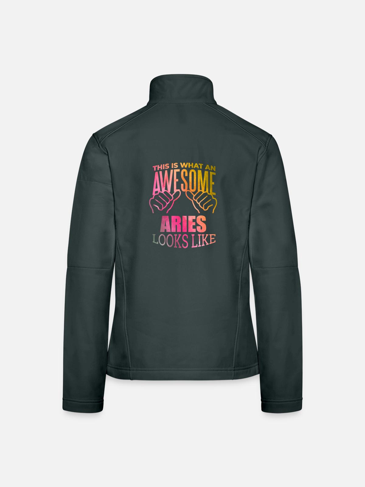 Aries Aries Aries - Women's Softshell Jacket - mouse grey - Back
