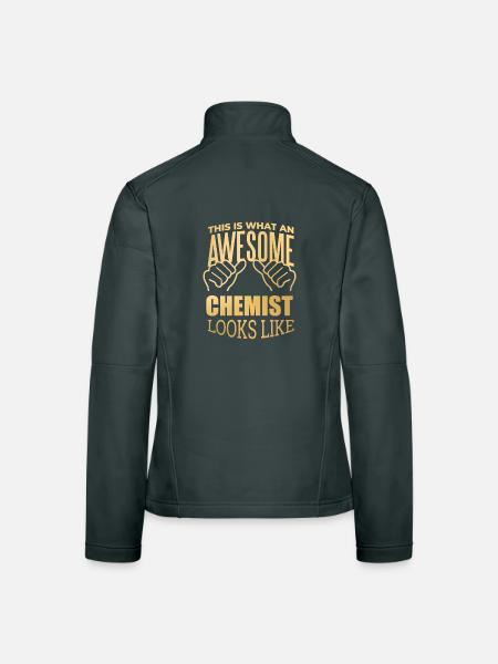 Chemistry - Women's Softshell Jacket - mouse grey - Back