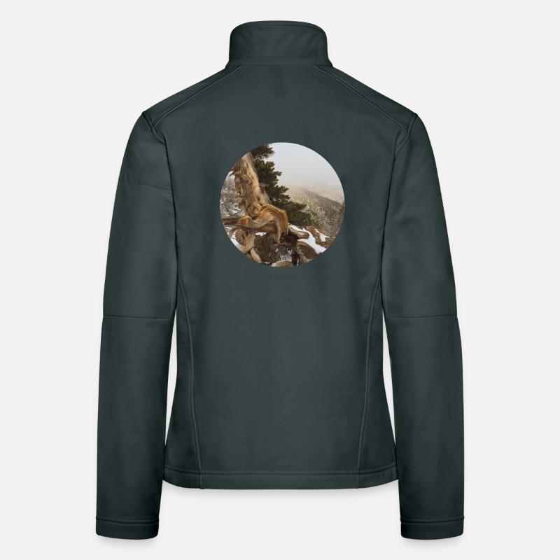 old gnarled tree on the Pacific Crest Trail Women's Softshell Jacket