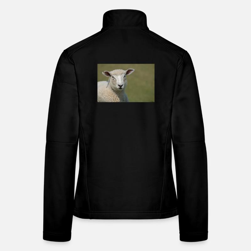 Ein Schaf auf einem Deich Norddeutschland Poster Frauen Softshelljacke