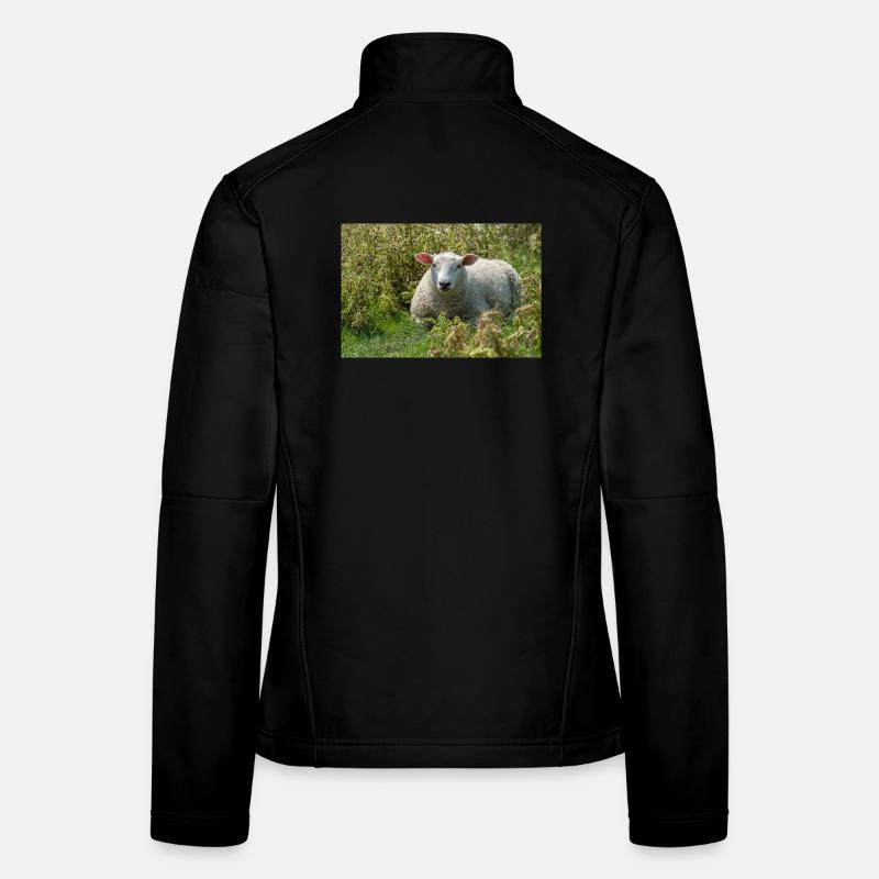 Sheep Lying in the Grass - Poster - Women's Softshell Jacket - black