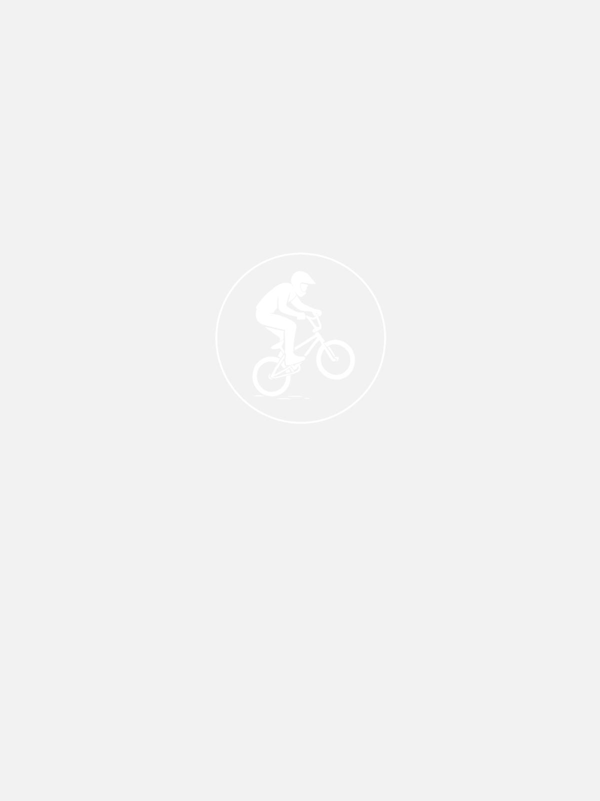 BMX-Piktogramm - Frauen Softshelljacke - Navy - Hinten