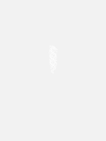Drache im Urnes-Stil – Nordisches Flechtwerk - Frauen Softshelljacke - Navy - Hinten