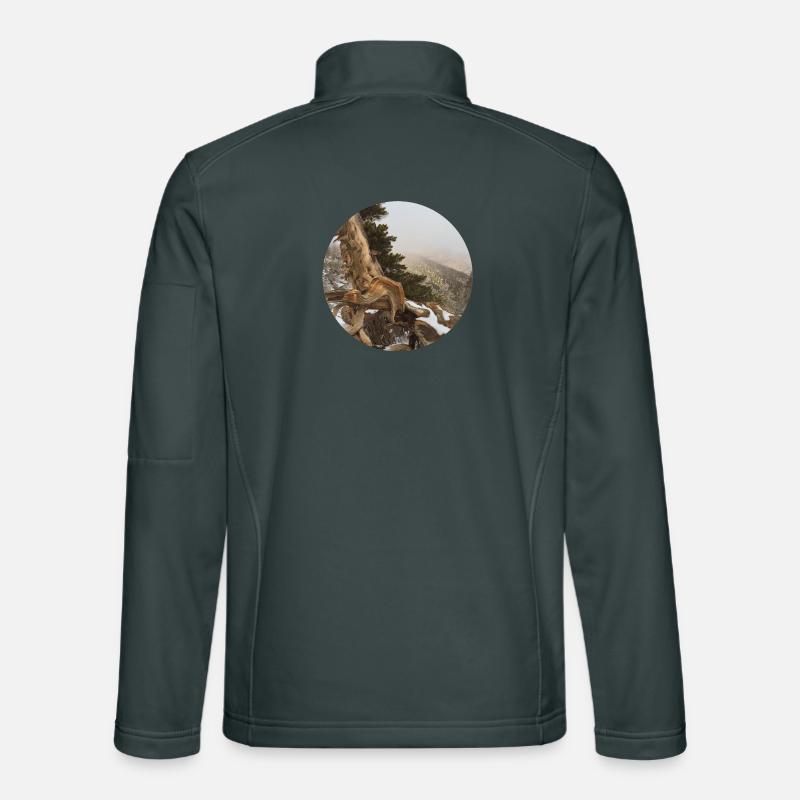 old gnarled tree on the Pacific Crest Trail Unisex Softshell Jacket