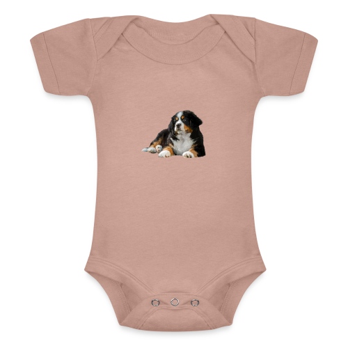 Berner Sennenhund - Baby Tri-Blend-Kurzarm-Body