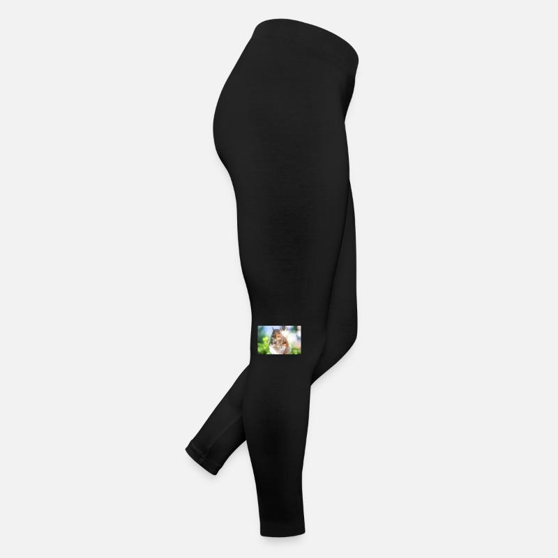 Eating Grey squirrel Grauhörnchen Women’s Jersey Leggings