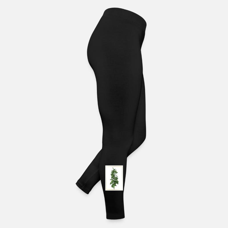 Green plant in gold frame Women’s Jersey Leggings