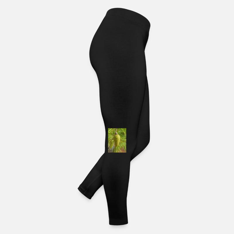Pin d’Alep aussi Pin de Jérusalem Alep-Kiefer Legging en jersey Femme