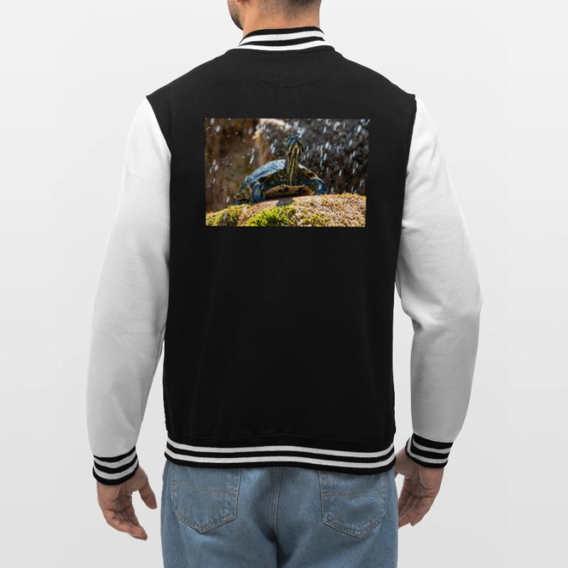 Trachemys scripta scripta scripta Veste Teddy