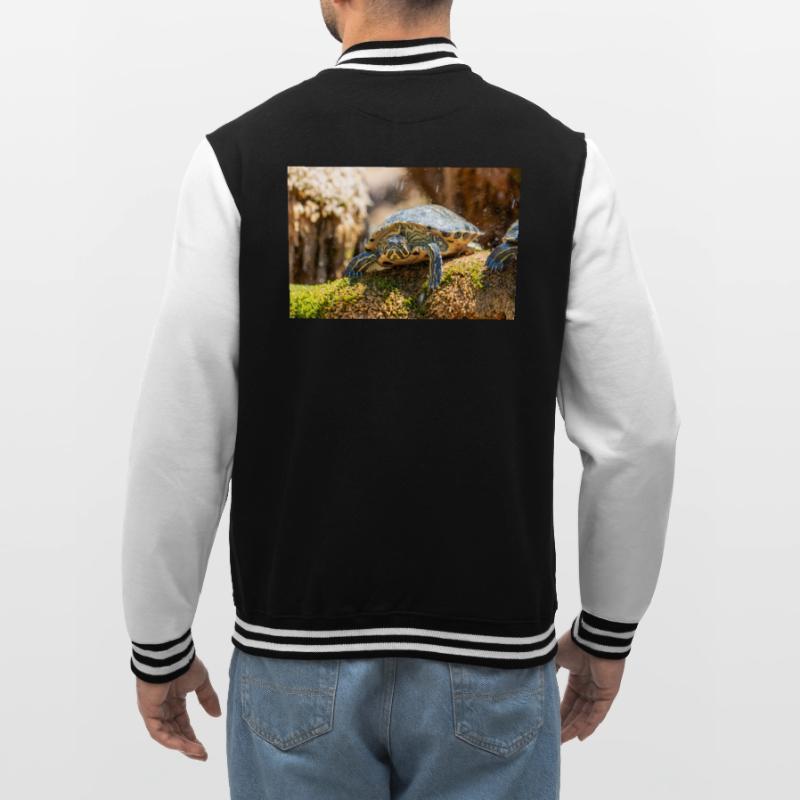 Trachemys scripta scripta scripta Veste Teddy