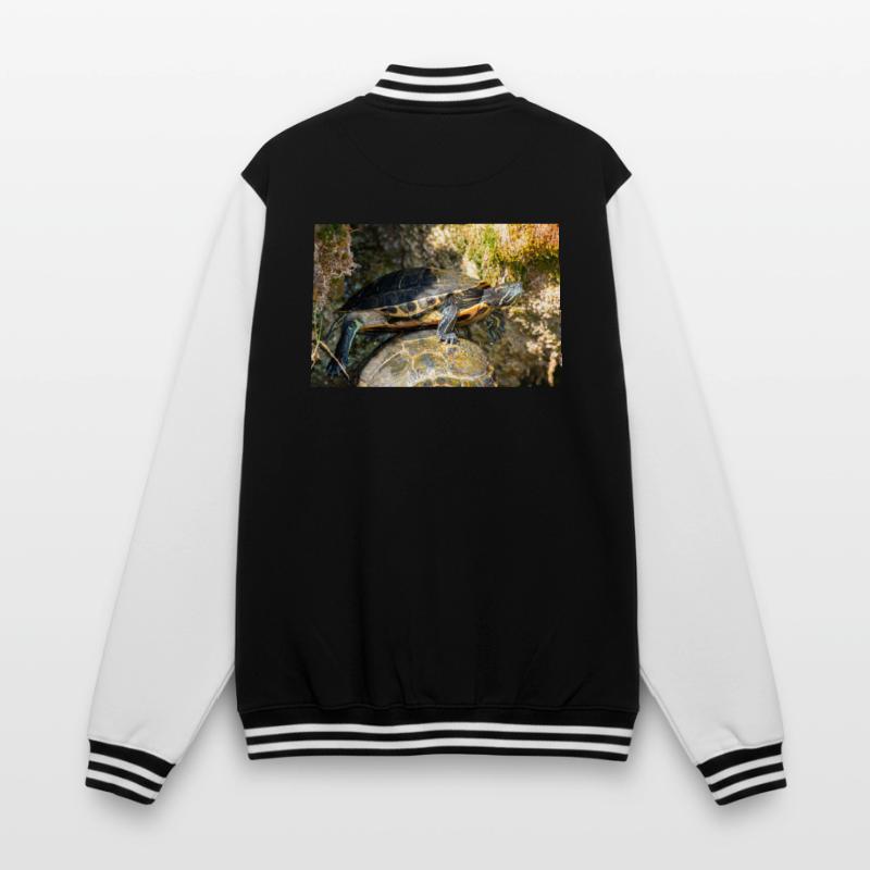 Trachemys scripta scripta scripta Veste Teddy