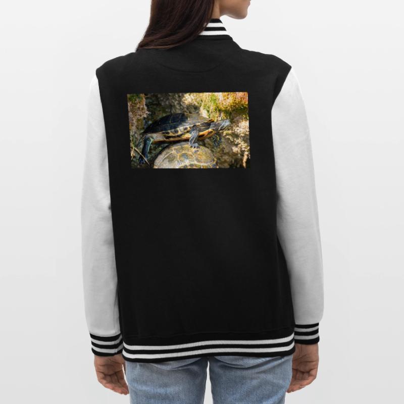 Trachemys scripta scripta scripta Veste Teddy