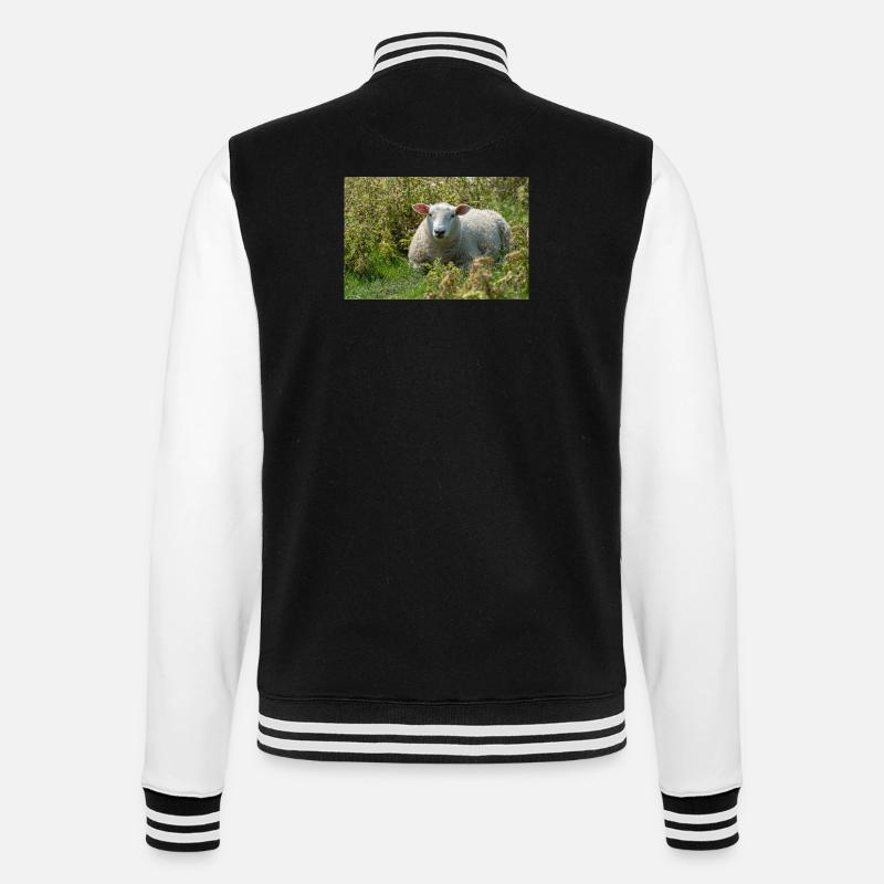 Moutons allongés dans l’herbe - Affiche - Veste Teddy - noir/blanc